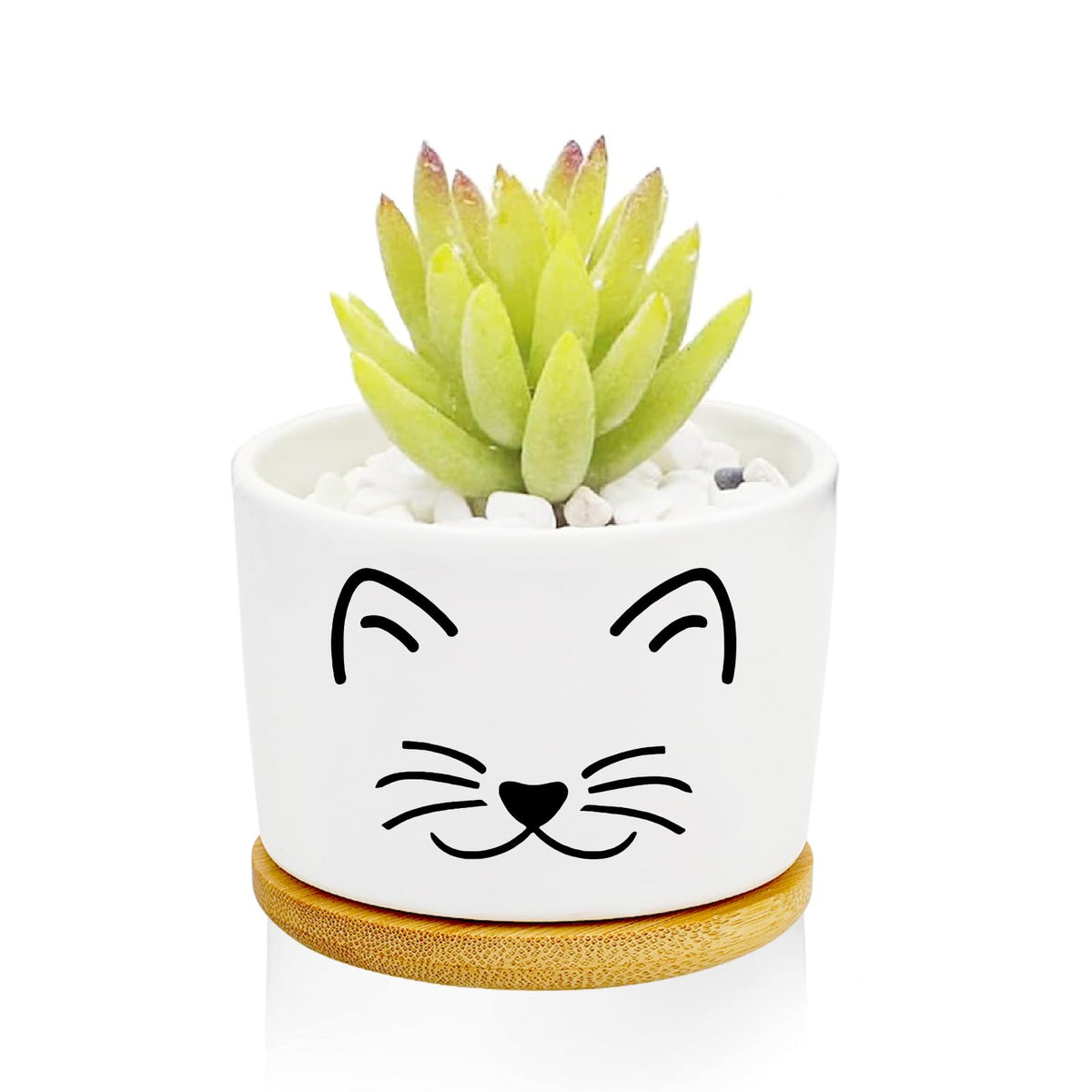 1Pcs Dog Window Garden Planter Pots with Drainage Tray, Ceramic Pot 3 Inch