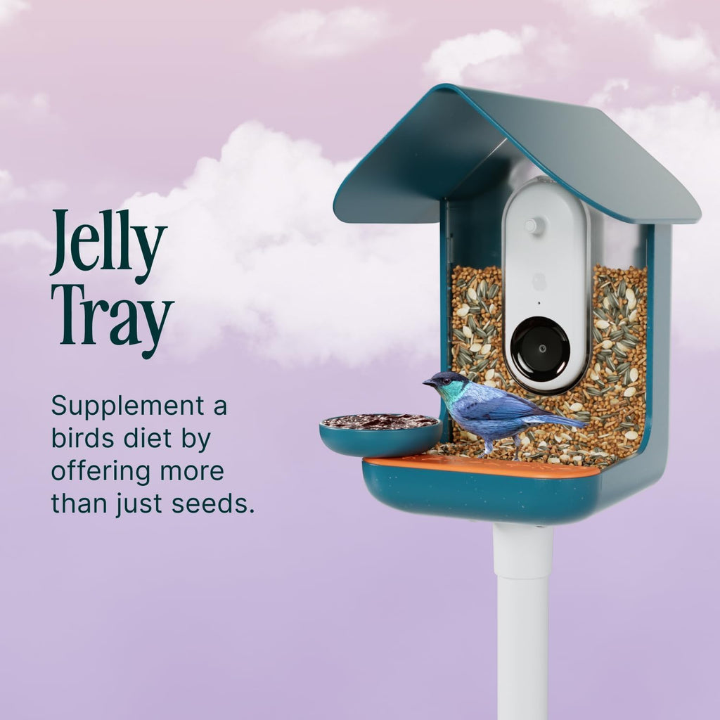 Birdbuddy 3-in-1 Nutrition Set with Water Fountain, Fruit Spike & Tray