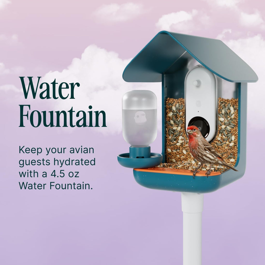 Birdbuddy 3-in-1 Nutrition Set with Water Fountain, Fruit Spike & Tray