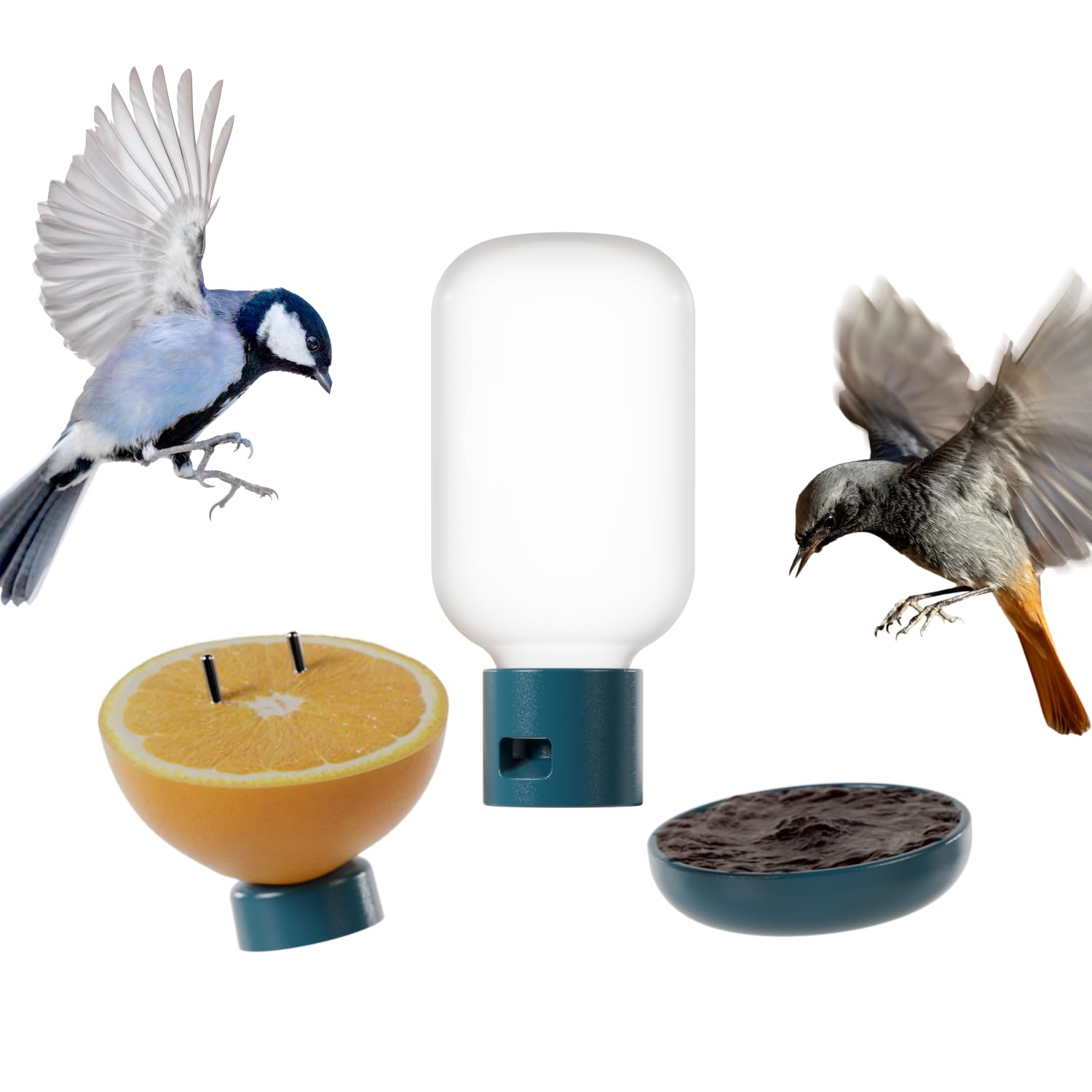 Birdbuddy 3-in-1 Nutrition Set with Water Fountain, Fruit Spike & Tray