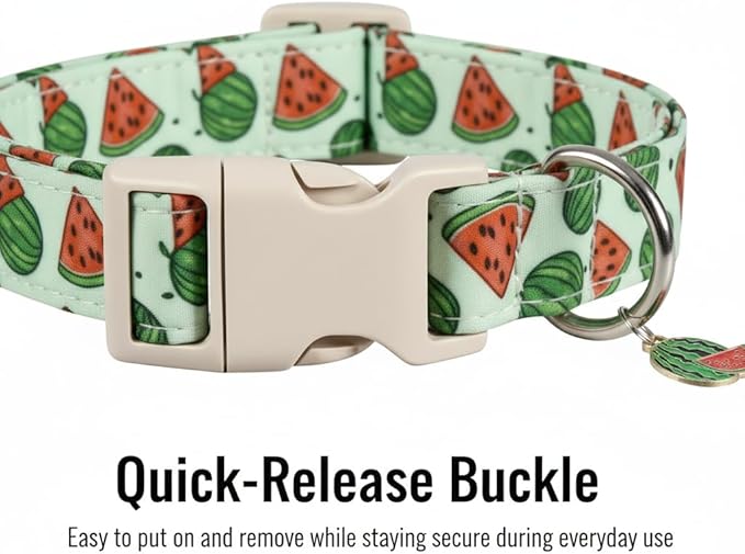Britwicfr Dog Collar for Small Dogs, Summer Dog Collar with Watermelon Print and Charm, Adjustable Pet Collar for Girl Boy Dogs