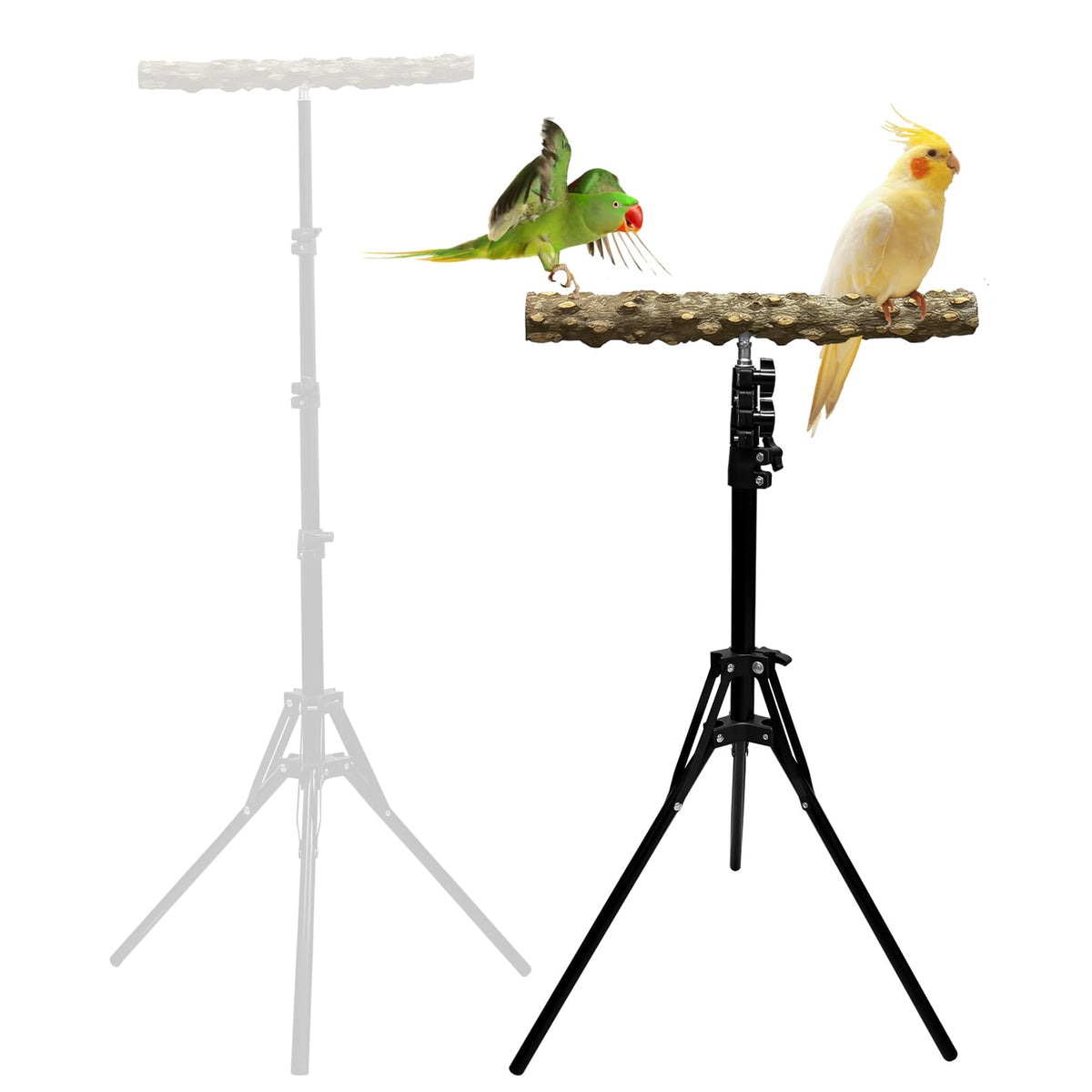 Arfubye 16-63 Inch Height Adjustable Bird Perch Pepper Wood Bird Training Perch Stand Parakeet Perches Indoor and Outdoor Parrot Stands for Small to Medium Bird