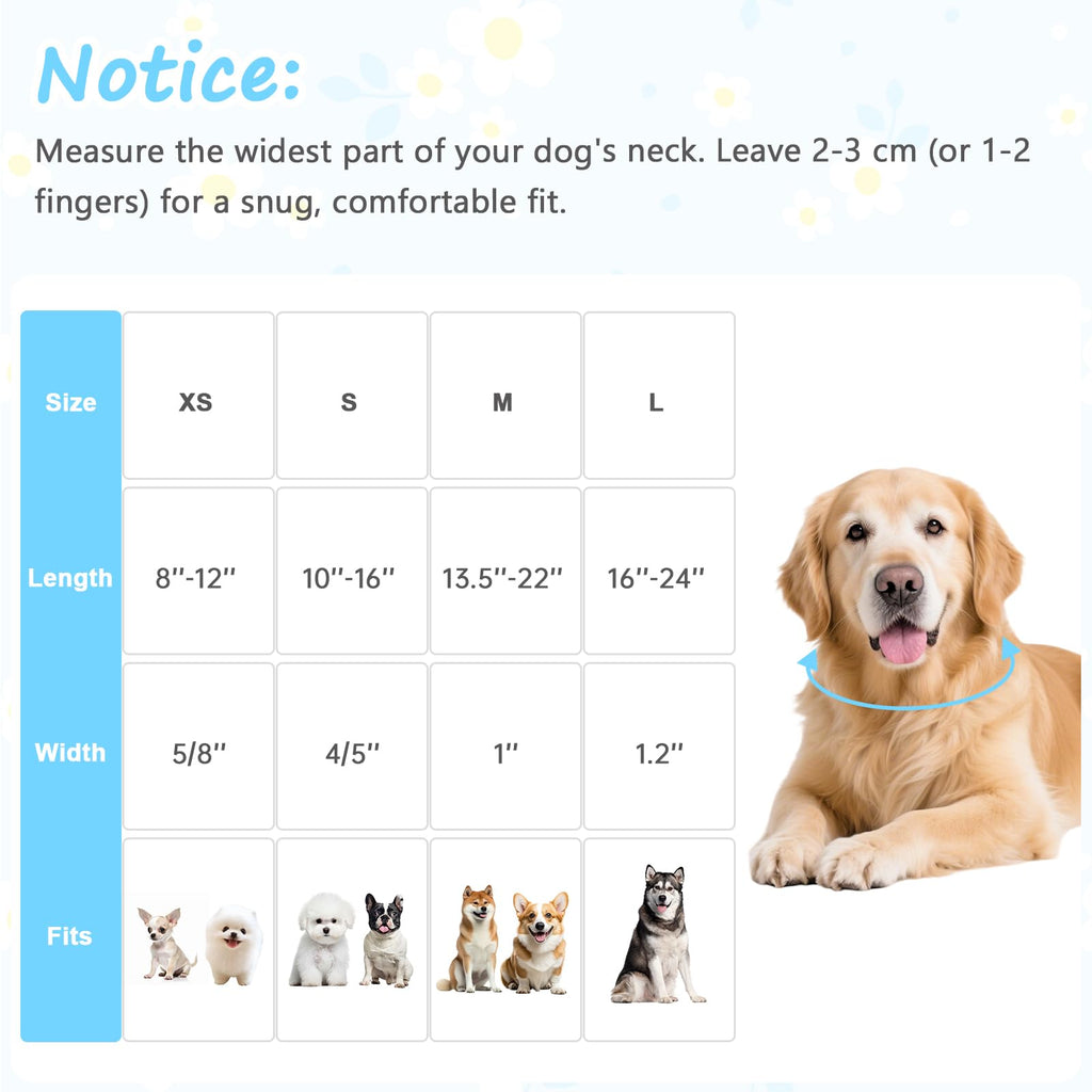 Astdogio Dog Collar for Small Medium Large Dogs, Spring Blue Dog Collars with White Flowers, Adjustable Cotton Dog Collars, Cute Girl or Boy Dog Collar Ideal for Gifts,Pet Accessory,L