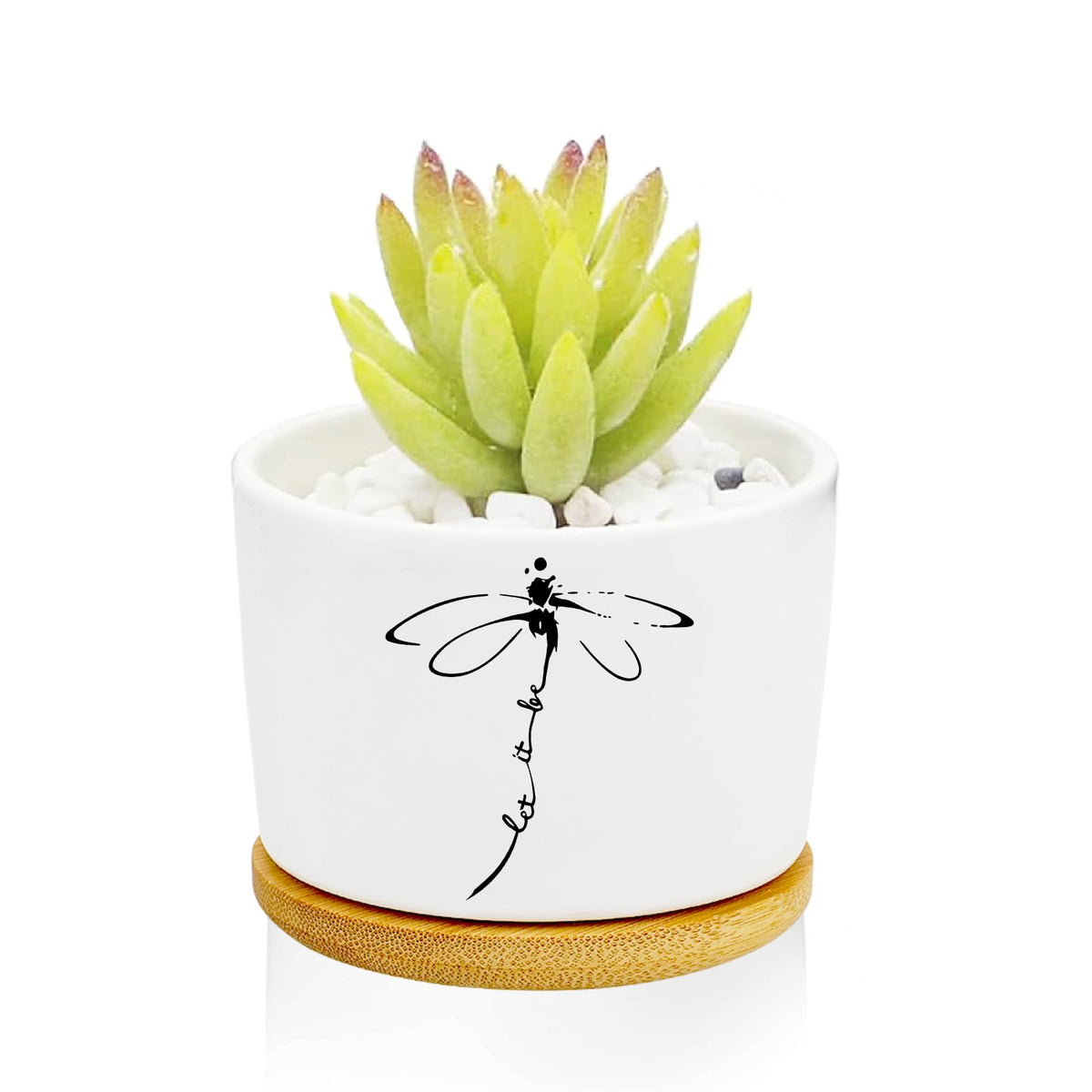 1Pcs Dog Window Garden Planter Pots with Drainage Tray, Ceramic Pot 3 Inch
