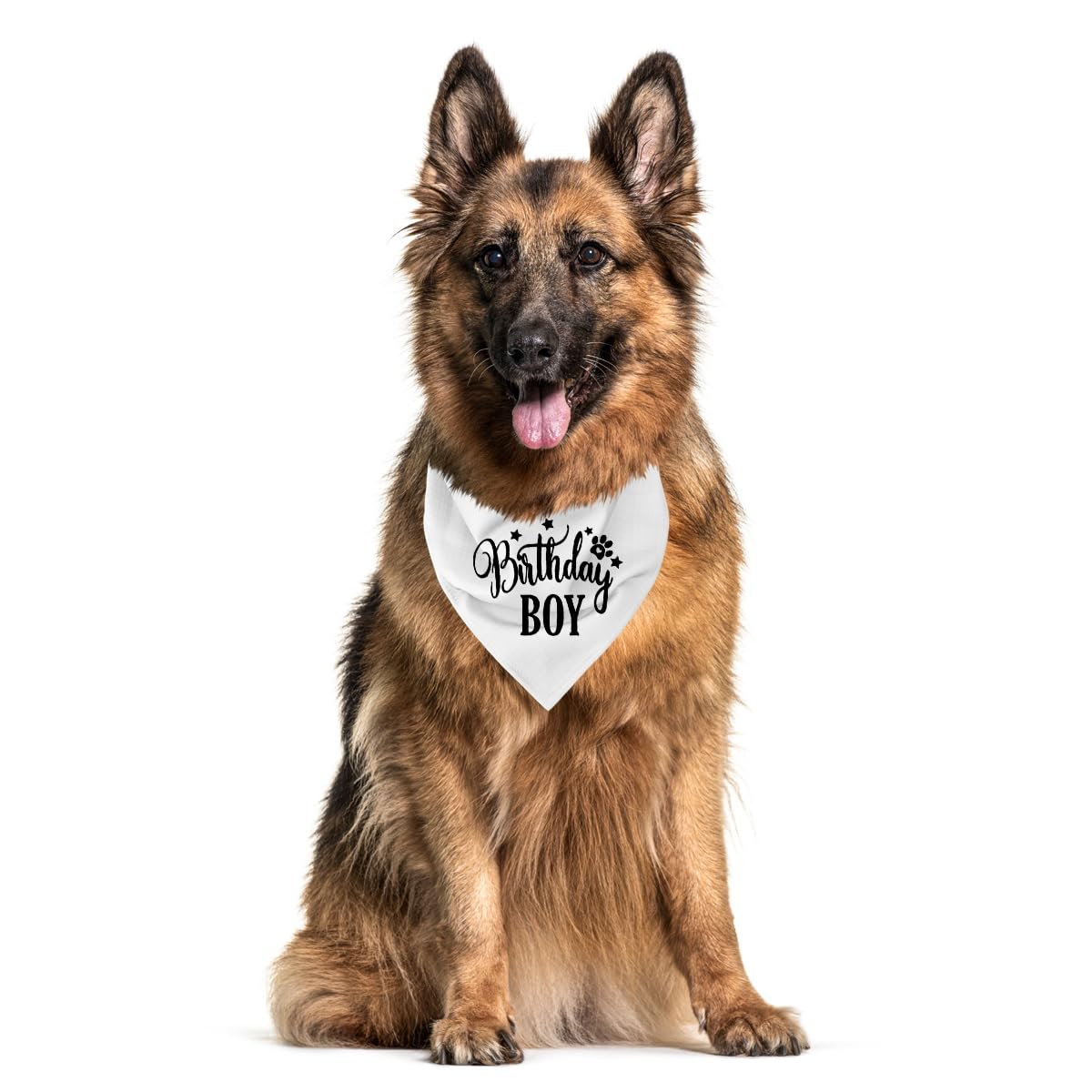 Birthday Boy Dog Bandana, White Pet Triangle Scarf for Birthday Party Photo Outfit, Celebration Party Pet Accessory, Puppy Neckerchief for Small Medium Dogs