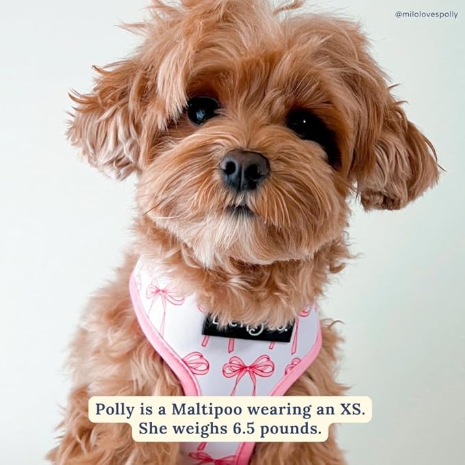 Lucy & Co. Reversible Dog Harness - Water-Repellent Neoprene, Dual-Print Design, Easy Swap Style, Adjustable Comfort Fit - Take a Bow Reversible Harness - Small