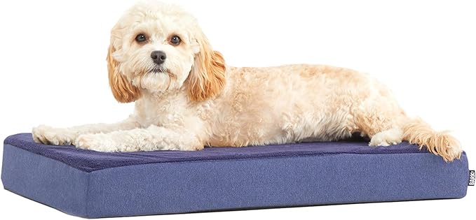 BarkBox Orthopedic Dog Bed - Small