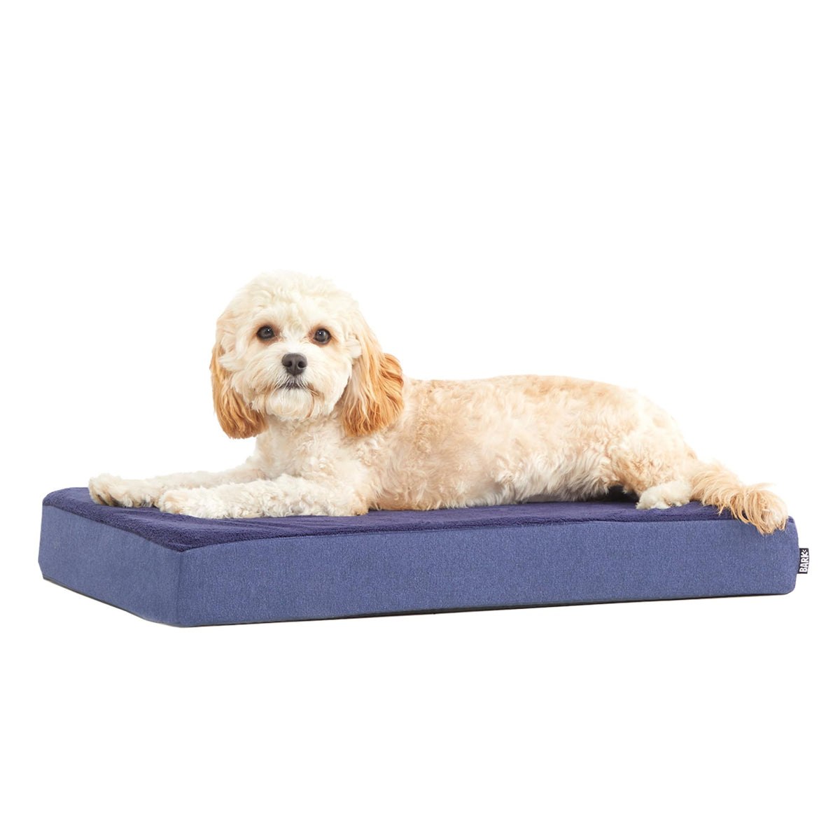 BarkBox Orthopedic Dog Bed - Small