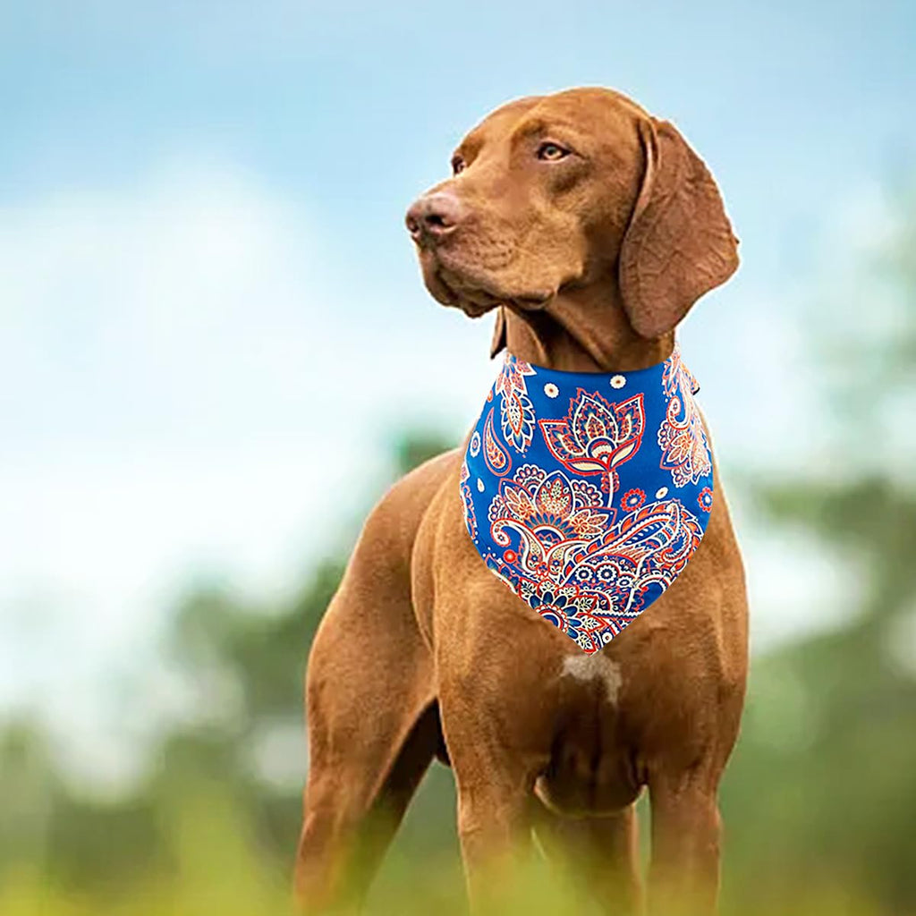 Pai Sence Paisley Dog Bandanas Bulk for Large Dogs Sewn Edges 33" 30 Pack L