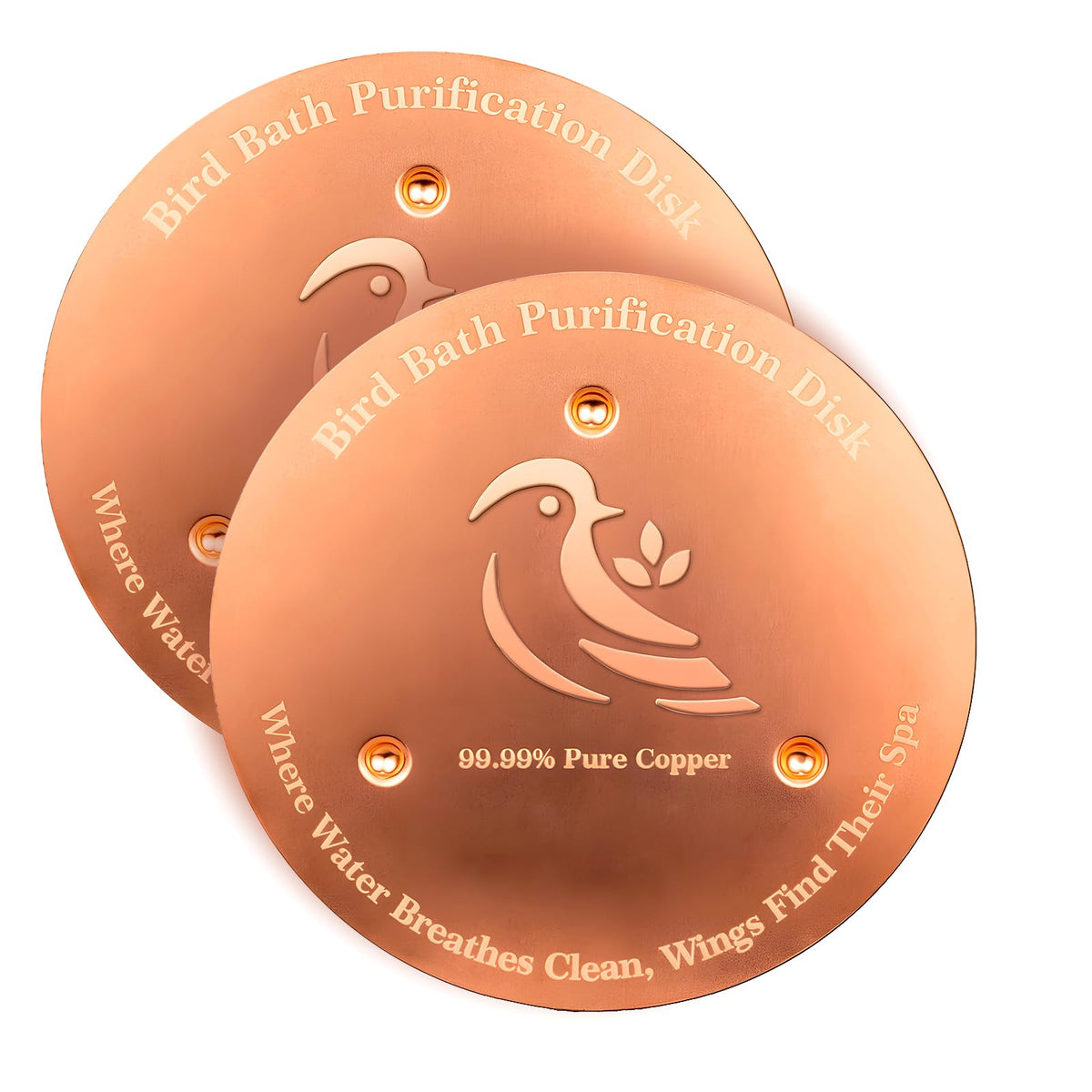 Ulycon 2 Pack Bird Bath Purification Disk, Premium 0.6mm Sturdy 99.99% Pure Copper Disk for Bird Baths,Triple-Point Support Ensures Clean Water Year-Round, Compatible with All Outdoor Birdbath Bowls