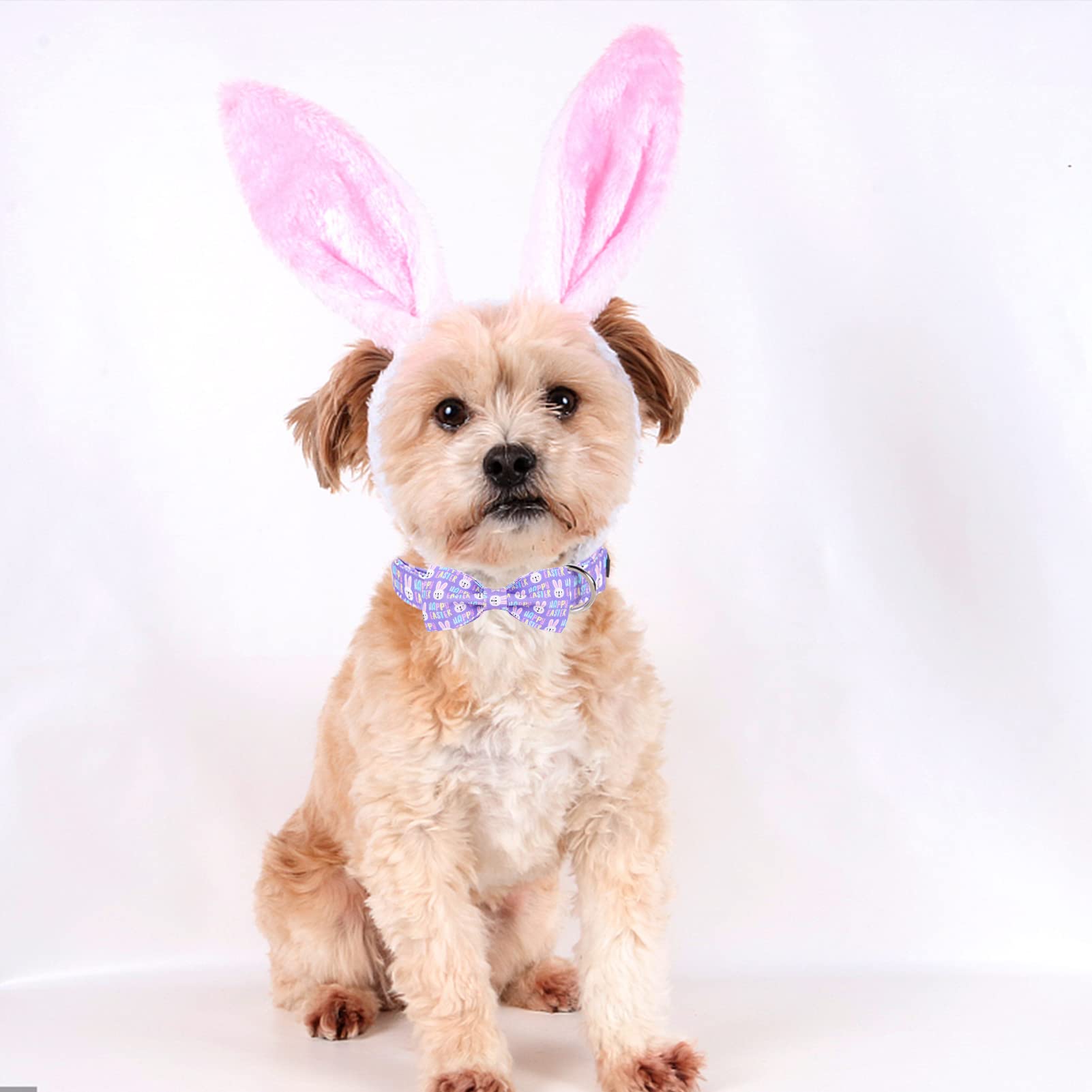 ·MR. CHUBBYFACE· Easter Dog Collar Rabbit Puppy Collar with Bow, Adjustable Pet Collar Bowtie for Small Medium Large Dogs