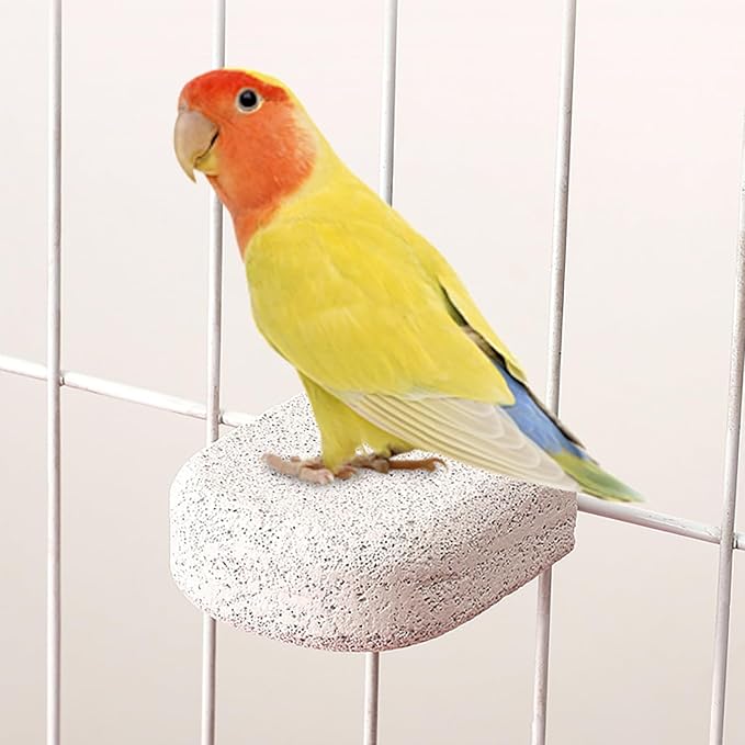 JINJUMEI 4Pcs Bird Beak Grinding Stone, Bird Perch Stands Parrot Calcium Perch Foot Claws Trimmer Parakeet Platform Parrot Chewing Toys for Small Medium Cockatiel Conure Lovebird Finch
