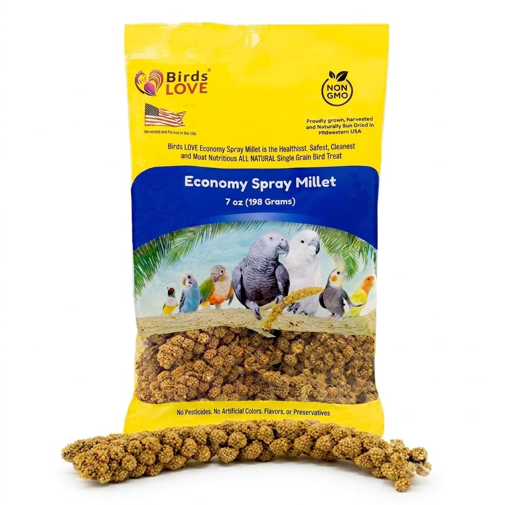 Birds LOVE Economy Spray Millet for Birds, 7 oz, GMO-Free Natural Millet Spray Treat, Stem-Reduced Edible Tops, Grown in USA, for Parakeets, Cockatiels, Lovebirds, Finches, Canaries & Small Parrots