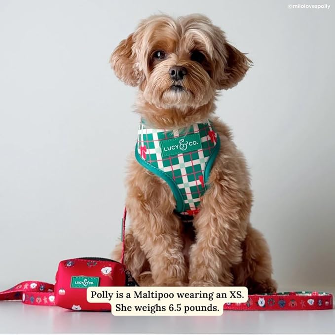 Lucy & Co. Reversible Dog Harness - Water-Repellent Neoprene, Dual-Print Design, Easy Swap Style, Adjustable Comfort Fit - Happy Howlidays Reversible Harness - Large