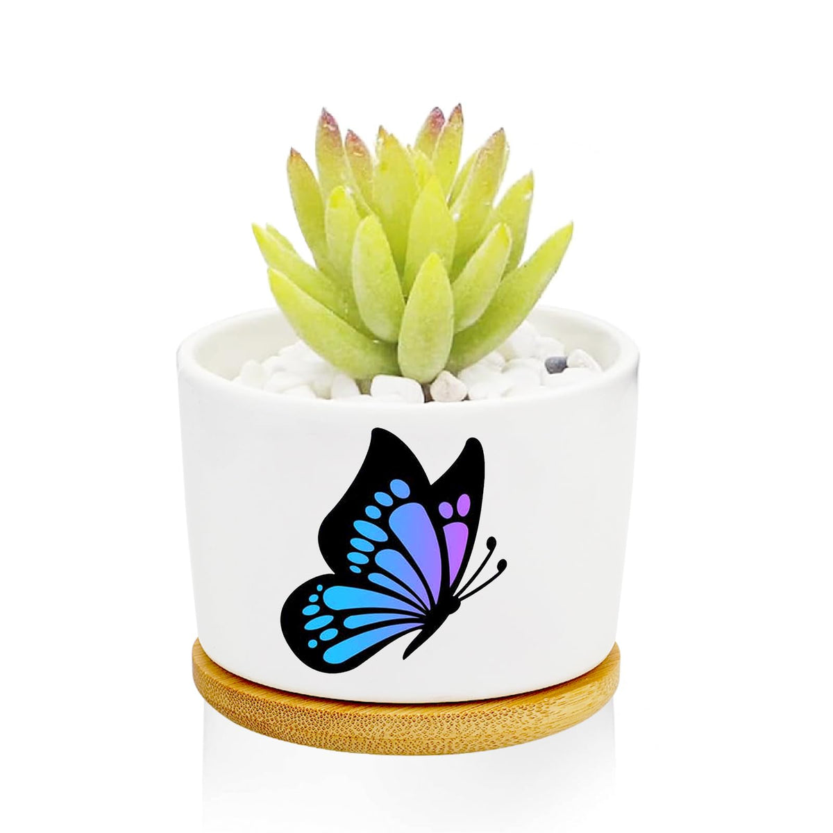 1Pcs Dog Window Garden Planter Pots with Drainage Tray, Ceramic Pot 3 Inch
