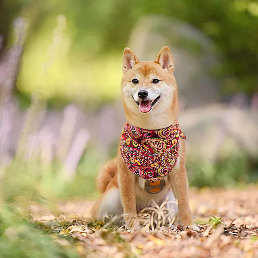 Pai Sence Paisley Dog Bandanas Bulk for Medium Dogs Sewn Edges 25" 30Pack M