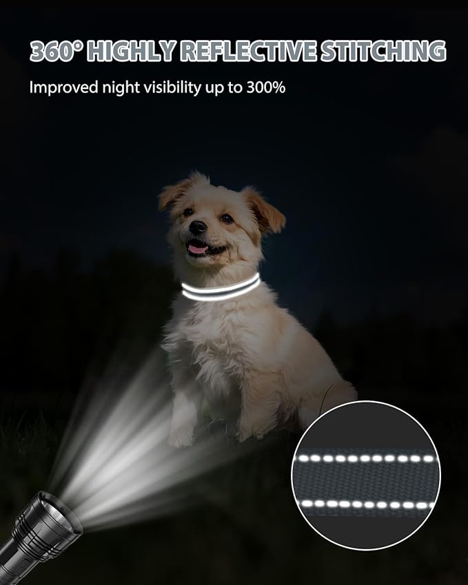 Joytale Dog Collars for Small Dogs, Feather-Light Double-Sided Reflective Nylon Collar for Night Safety, Adjustable Quick-Release for Growing Puppies, Gray, S (5/8" Width)