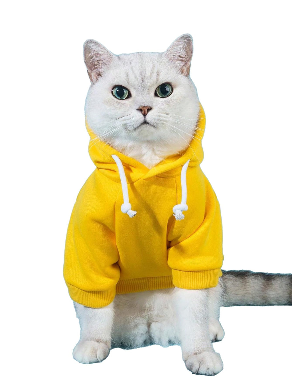 QWINEE Basic Dog Hoodie Sweatshirt Puppy Sweater Warm Cat Costumes Pet Clothes for Chihuahua Puppy Kitten Small Medium Dogs Yellow X-Small