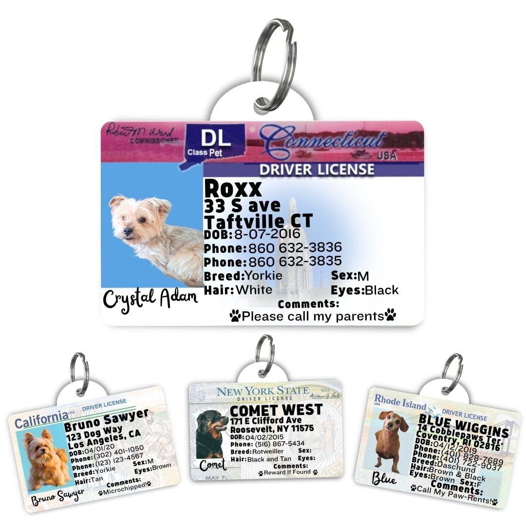 Dog Tags Personalized, Dog ID License Tag for Pets (Washington, Tag)