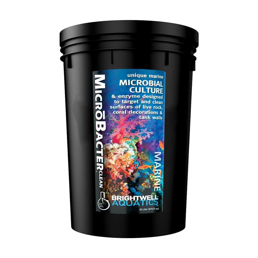 Brightwell Aquatics MicroBacter Clean Marine Aquarium Cleaner Aid, 500 ml