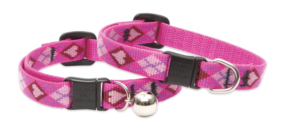 LupinePet Originals 1/2" Wing It Cat Safety Collar, 8-12"