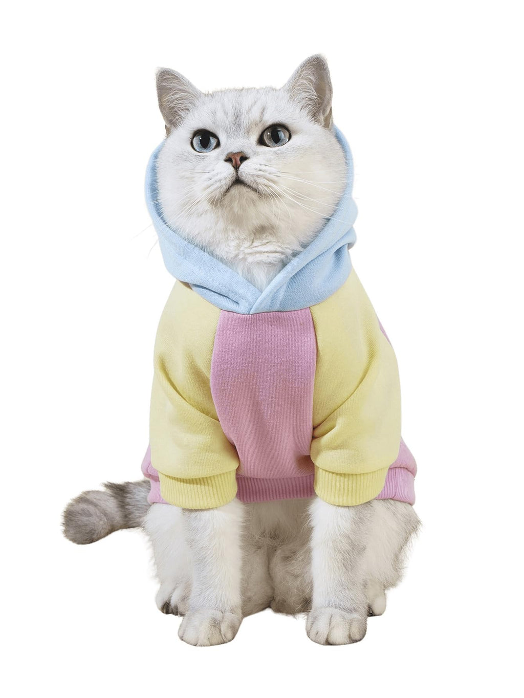 QWINEE Basic Dog Hoodie Sweatshirt Puppy Sweater Warm Cat Costumes Pet Clothes for Chihuahua Puppy Kitten Small Medium Dogs Pink Medium
