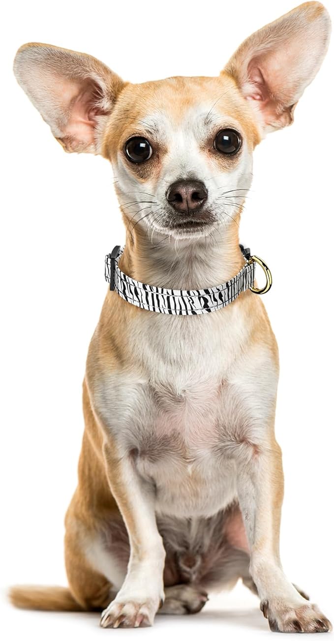 TMOODEL Reflective Dog Collar for Extra Small Dogs Cats, Cute Boho Adjustable Heavy-Duty Nylon Puppy Collar for Boy and Girl Female, Soft Pet Accessories with Quick Release Buckle, Stylish Zebra Print