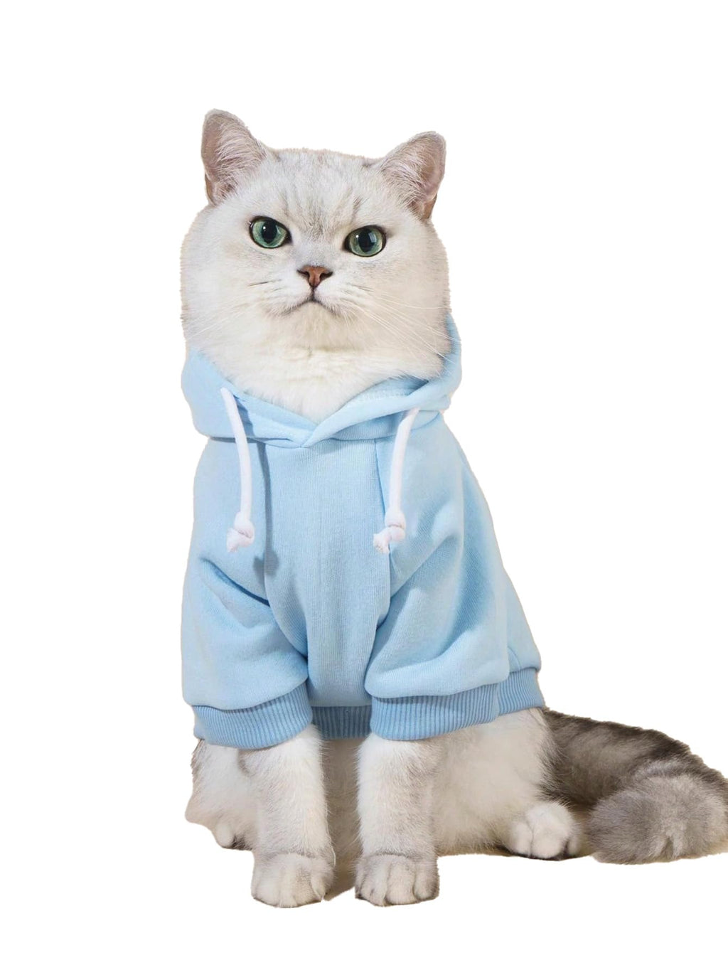 QWINEE Basic Dog Hoodie Sweatshirt Puppy Sweater Warm Cat Costumes Pet Clothes for Chihuahua Puppy Kitten Small Medium Dogs Light Blue XX-Small