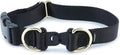 PetSafe KeepSafe Collar for Dogs - Protects Against Collar Accidents - Long Lasting - Durable - Adjustable - Breakaway - Outdoor-Safe - Medium - 1 In. Wide - Black