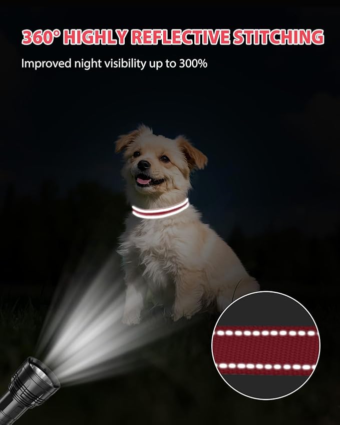 Joytale Small Dog Collar, Durable Double-Sided Reflective Nylon Collar for Night Safety, Adjustable Quick-Release for Active Breeds, Red, S (3/4" Width)