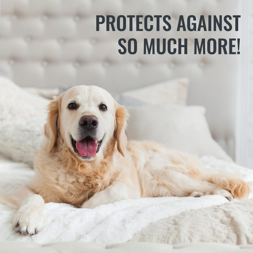DMI Queen Size Waterproof Mattress Protector - Fitted, Noiseless Mattress Cover, Soft and Breathable, 60" x 80"x 15", White