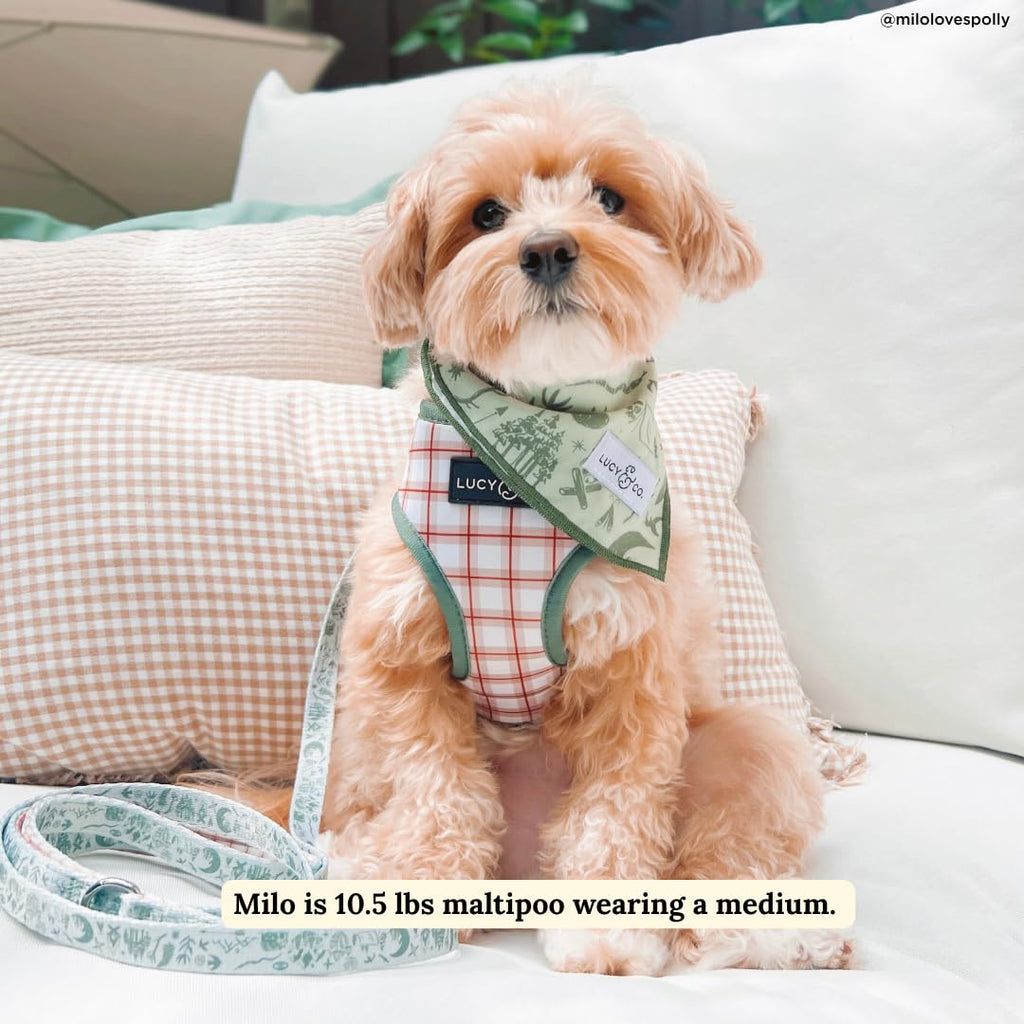 Lucy & Co. Reversible Dog Harness - Water-Repellent Neoprene, Dual-Print Design, Easy Swap Style, Adjustable Comfort Fit - Camp Out Reversible Harness - X-Small
