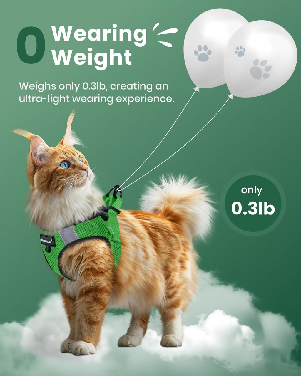 FAYOGOO Cat Harness and Leash Set, Escape-Proof Step-in Vest for Walking