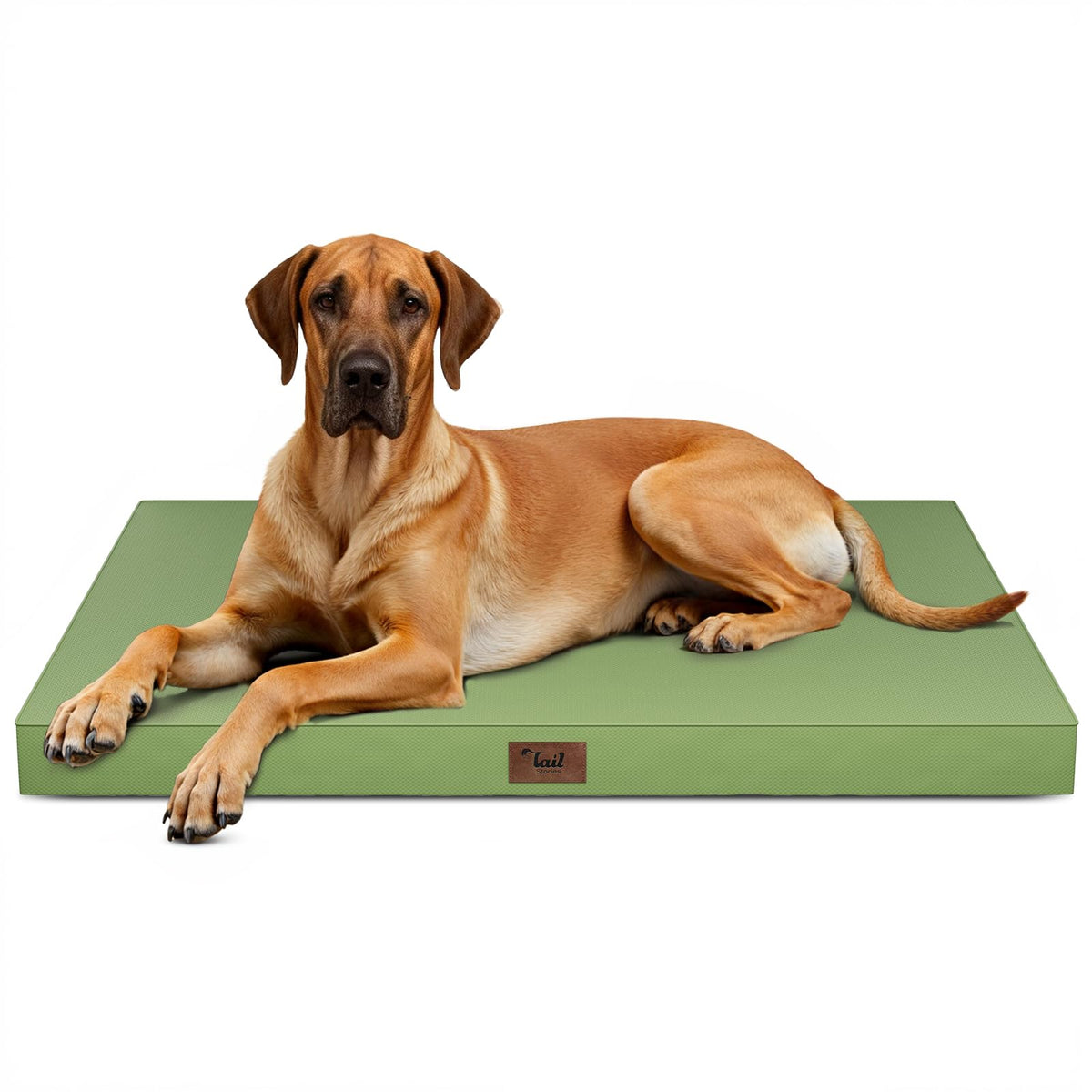 Tail Stories Jumbo Waterproof Orthopedic Dog Bed for Extra Large Dogs