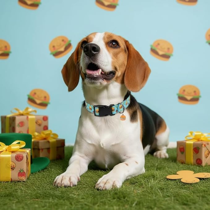 Britwicfr Cute Dog Collar, Blue Dog Collar with Burger Pattern and Cute Charm, Puppy Collar with Quick Release Buckle and Durable Fabric, Suitable for Medium and Large Dogs