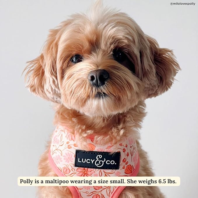 Lucy & Co. Reversible Dog Harness - Water-Repellent Neoprene, Dual-Print Design, Easy Swap Style, Adjustable Comfort Fit - Woodland Wildflowers Reversible Harness - Large