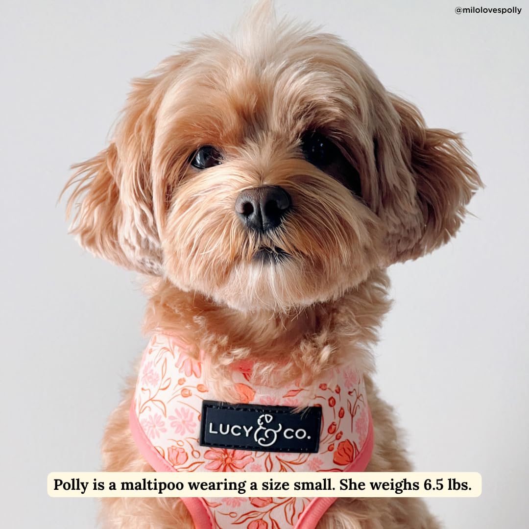 Lucy & Co. Reversible Dog Harness - Water-Repellent Neoprene, Dual-Print Design, Easy Swap Style, Adjustable Comfort Fit - Woodland Wildflowers Reversible Harness - Small
