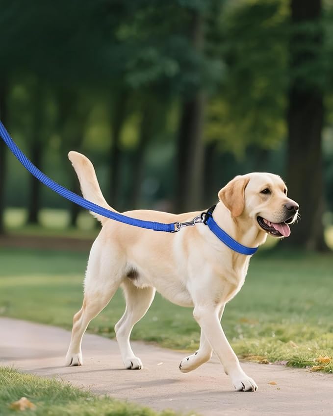 Joytale Large Dog Collar, Reflective and Adjustable Nylon Pet Collar with Quick-Release Buckle for Large Dogs, Navy Blue, L