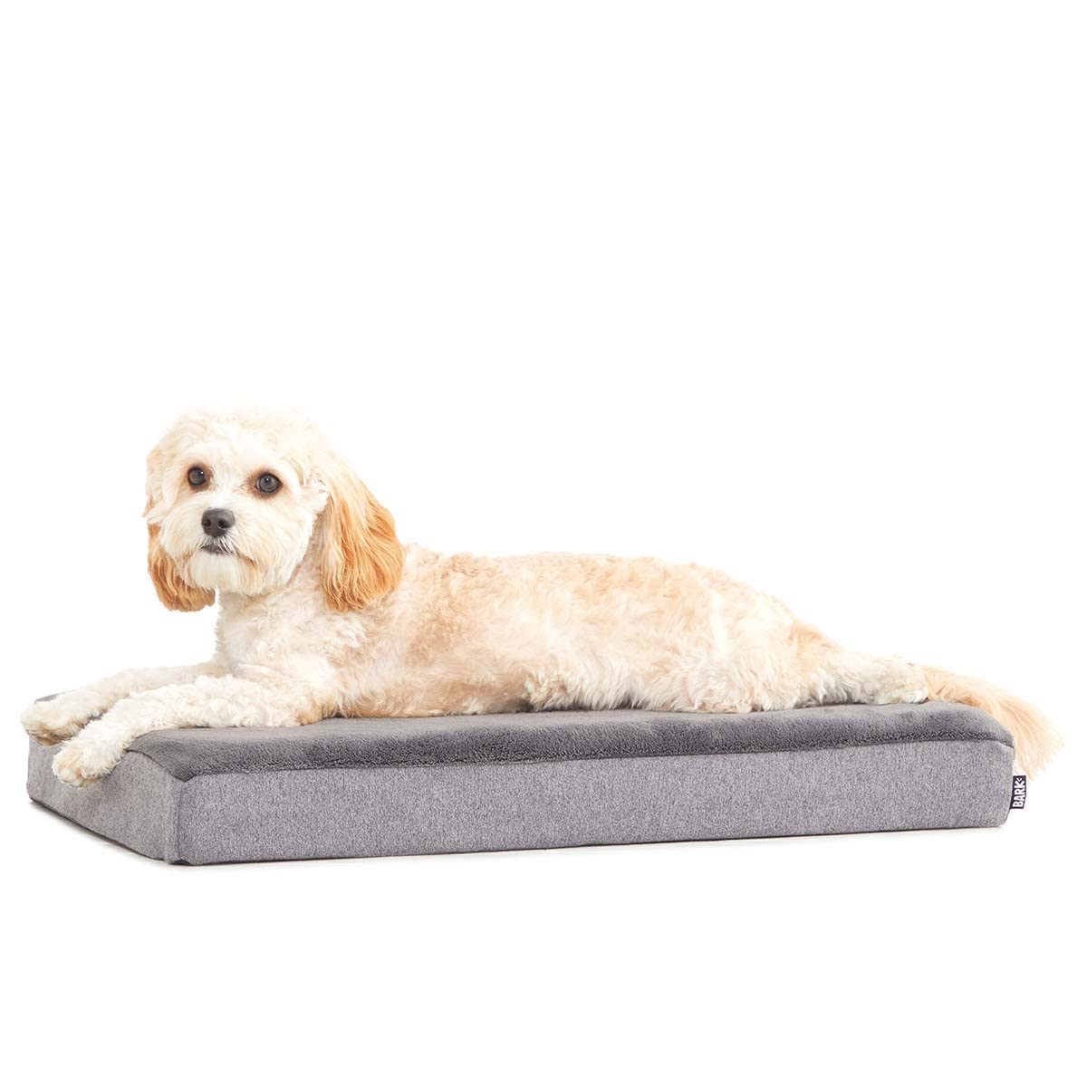BarkBox Orthopedic Dog Bed - Small