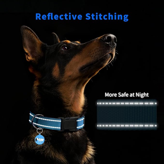 Pawduct Dog Name Tags Personalized Collar, Smart ID Tag, Large, Blue