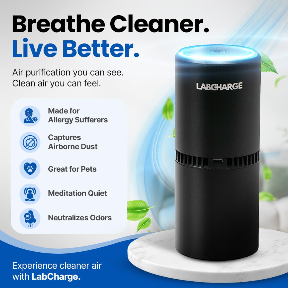 LabCharge Small Ionic Air Purifier for Home & Bedroom – Silent HEPA Filter – Covers 250 Sq Ft – For Pet Hair, Smoke, Dust, Odors & Dander – Compact Black Design – Pack of 5