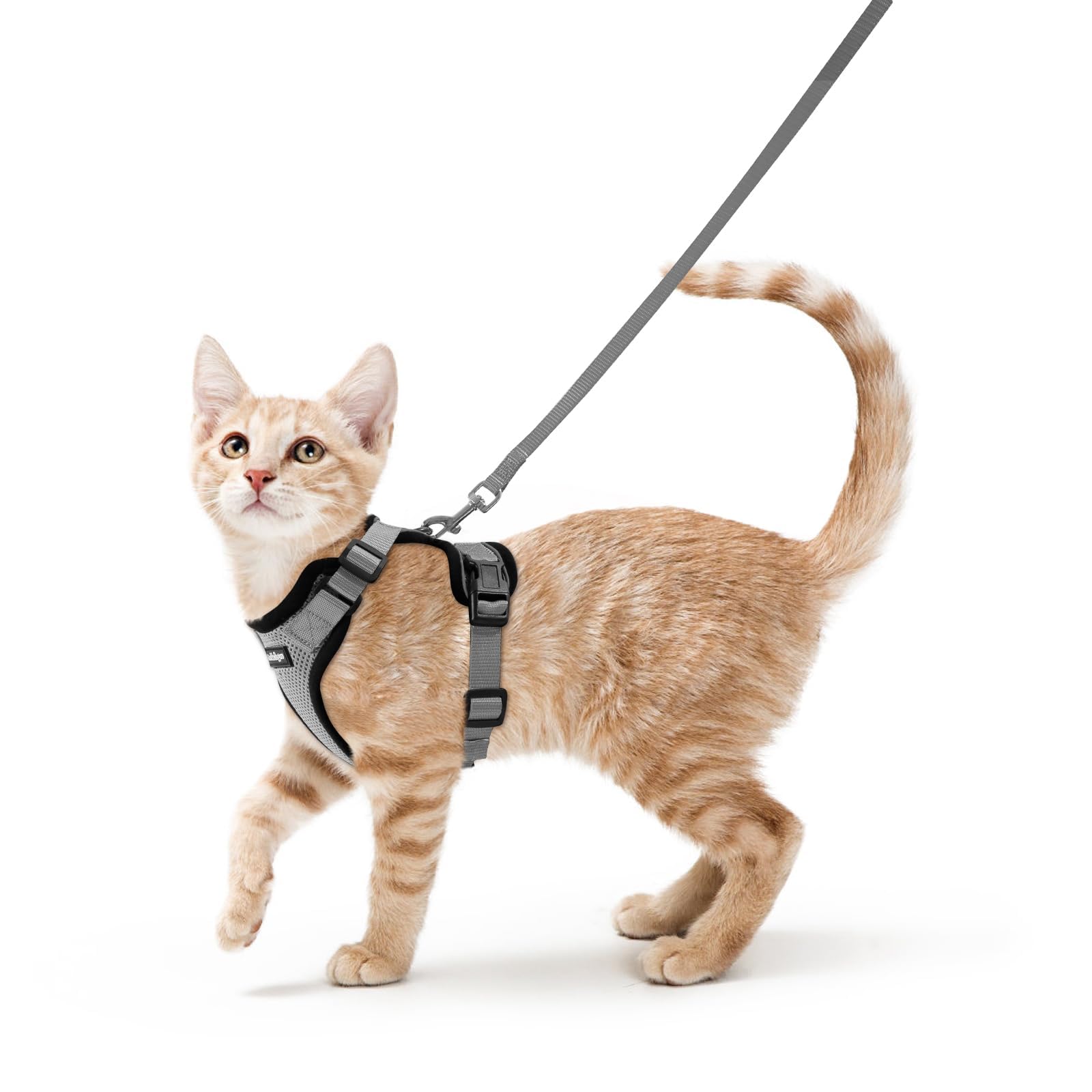 rabbitgoo Cat Harness and Leash Set, Escape Proof Vest, Emerald