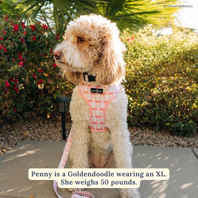 Lucy & Co. Reversible Dog Harness - Water-Repellent Neoprene, Dual-Print Design, Easy Swap Style, Adjustable Comfort Fit - Take a Bow Reversible Harness - Small
