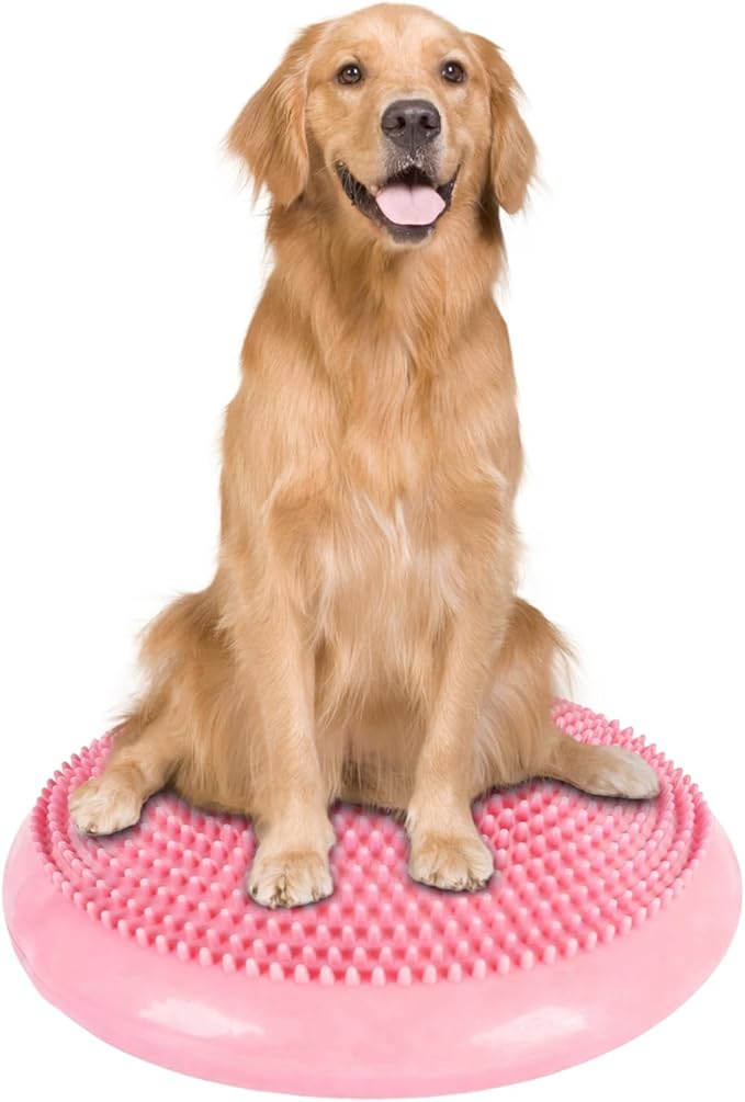 Dog Balance Disc 14 in with Cushion and Pump for Small Medium-Sized Dogs