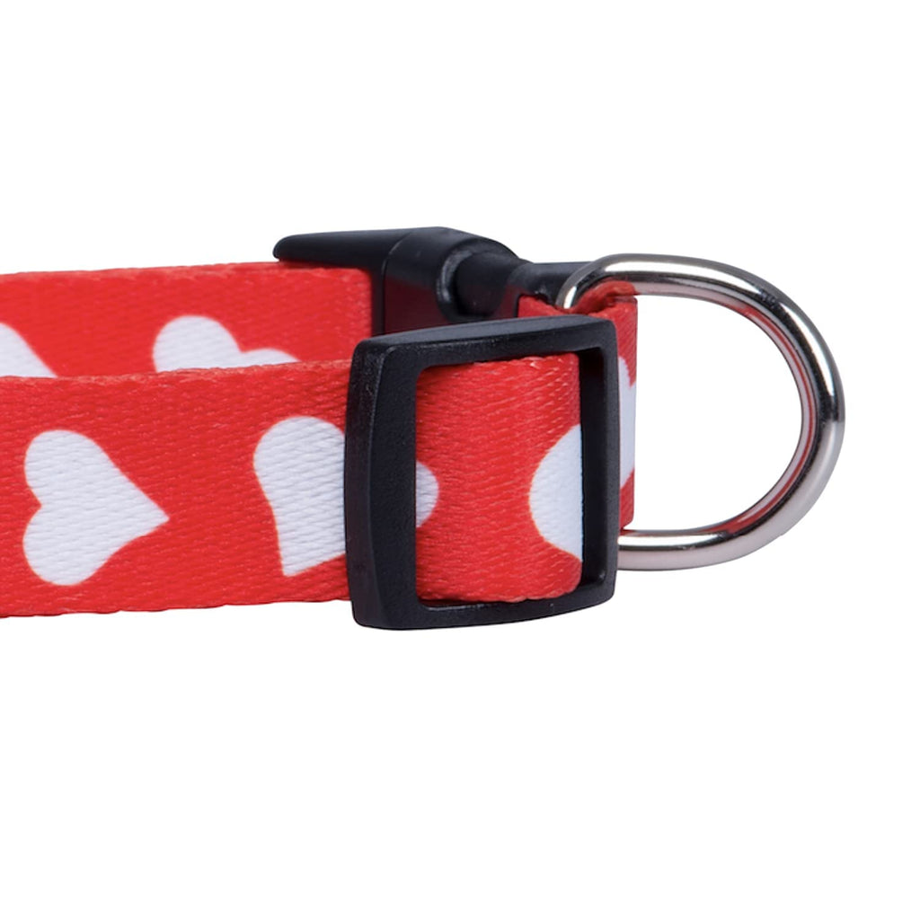 Native Pup Valentine’s Dog Collar- Valentines Day Pet Collars- Valentine Girly Hearts- Pink Red Heart- Cute Boy Girl Puppy Gift- Adjustable for Small, Medium, Large Breeds (Red Heart, Medium)