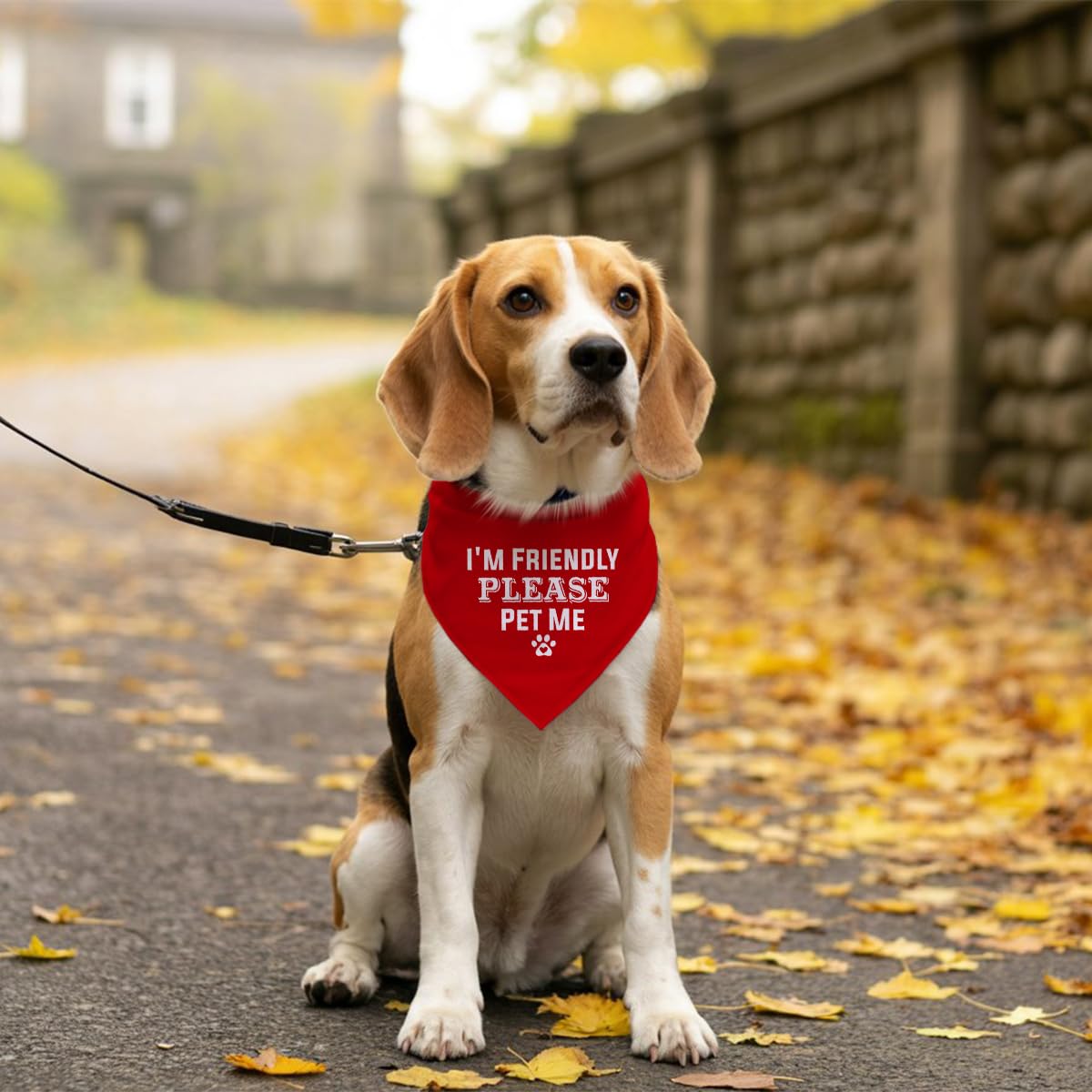 I'm Friendly Please Pet Me Dog Bandana - Red, Funny Cute Triangle Scarf Accessory for Small Medium Large Dogs (D49)