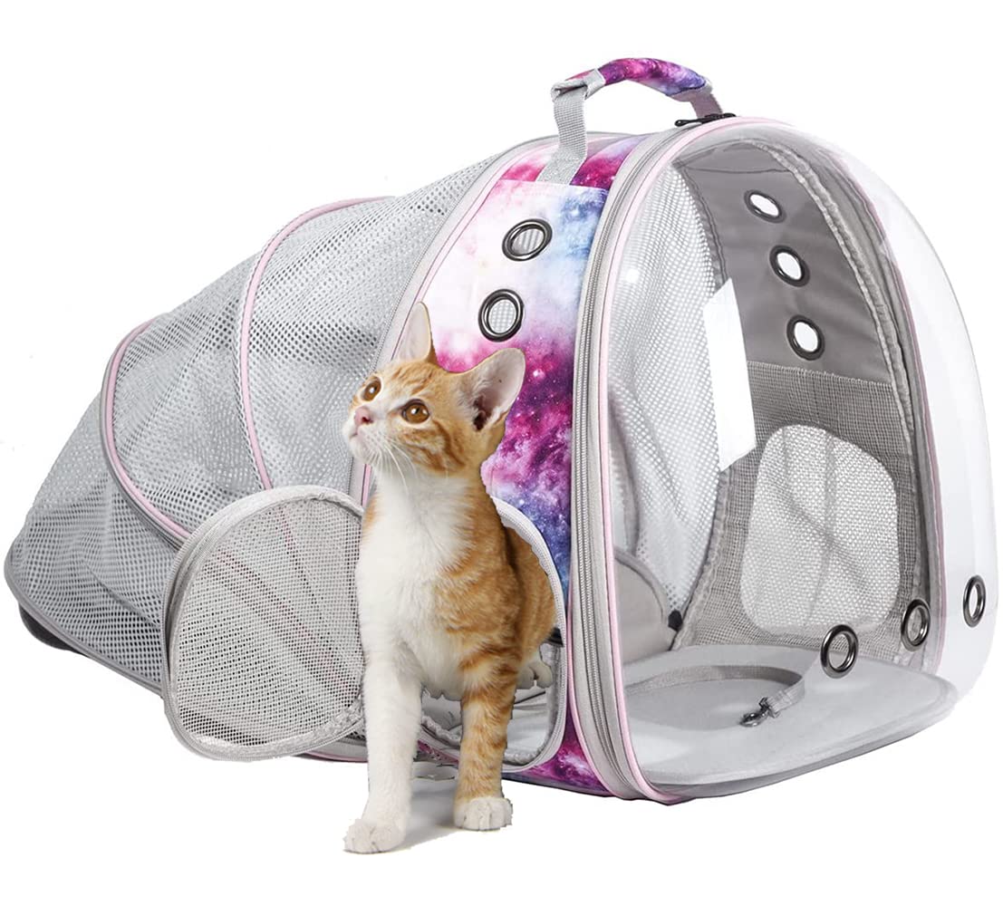 Square Back Extension Pet Backpack Carrier for Cat and Small Puppy up to 12 Pounds, Clear Space Capsule Astronaut Transparent Bubble Window Backpack to Carry and Transport Cat to Vet and Traveling