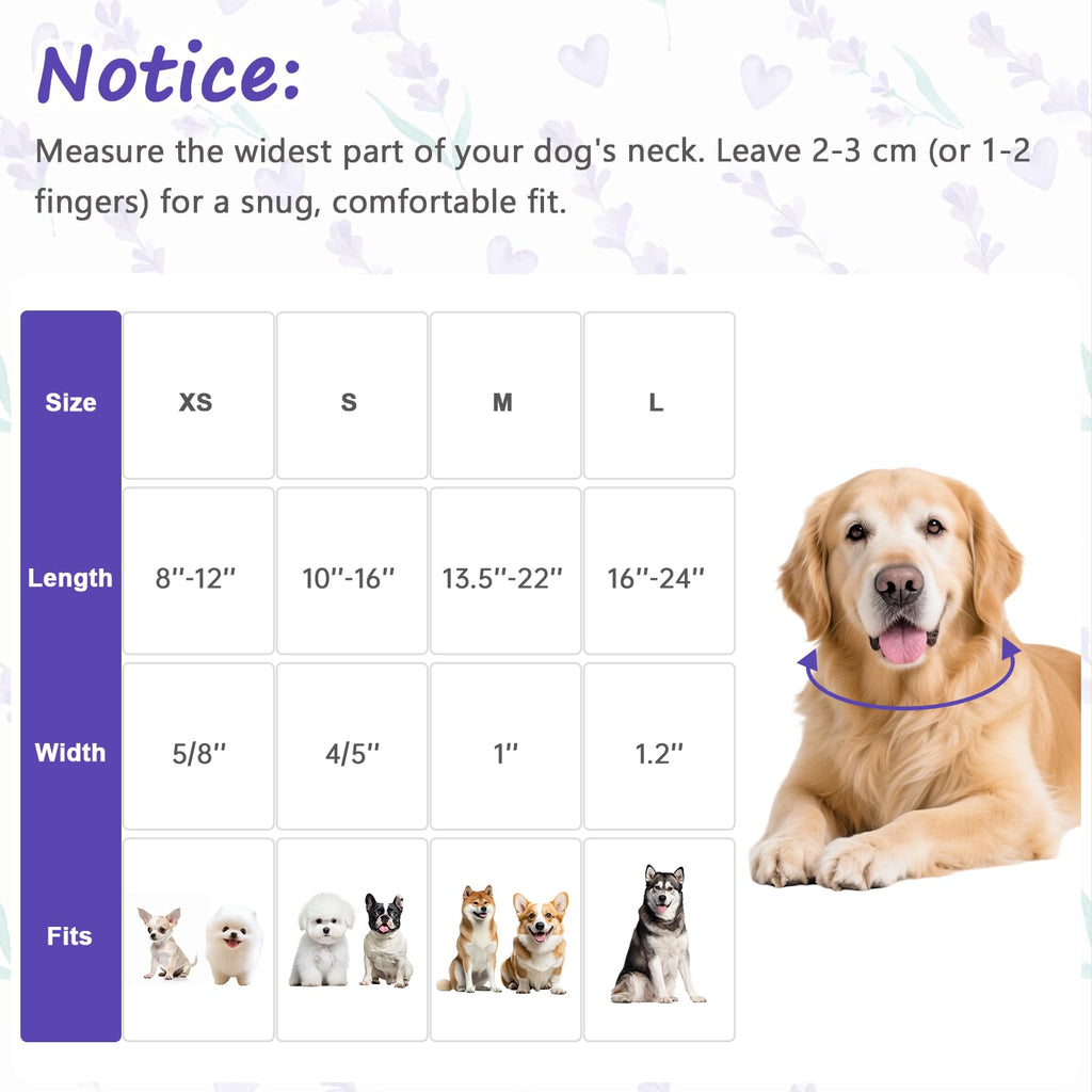 Astdogio Dog Collar for Medium Dogs, Spring Purple Dog Collars with Flowers Pattern, Adjustable Cotton Dog Collars, Cute Girl or Boy Dog Collar Ideal for Gifts,Pet Accessory