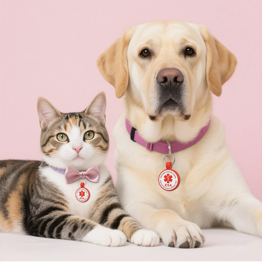 [Pack of 2] Dog Tags Personalized for Pets - Writeable Cat & Dog Name Tag