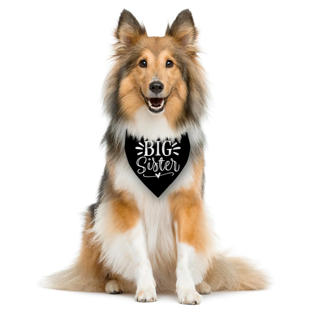 Big Sister Bandana for Dogs, Pet Pregnancy Announcement, Black Dog Bandana, Dog Bandanas for Large Dogs (L)